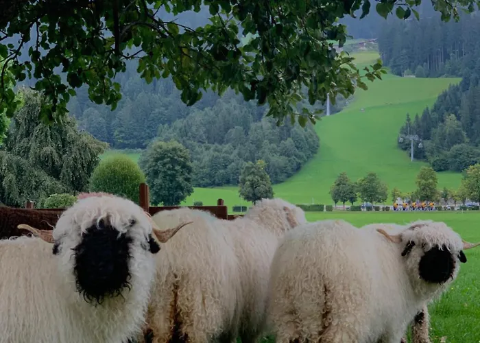 Alojamento de Acomodação e Pequeno-almoço Klausnerhof 3*